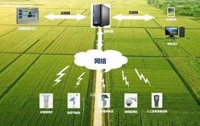 未來農業科技暢想曲 植物工廠、智慧農業與功能食品的技術交響